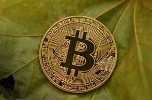 中超俱乐部财务状况分析，中超俱乐部盈利情况